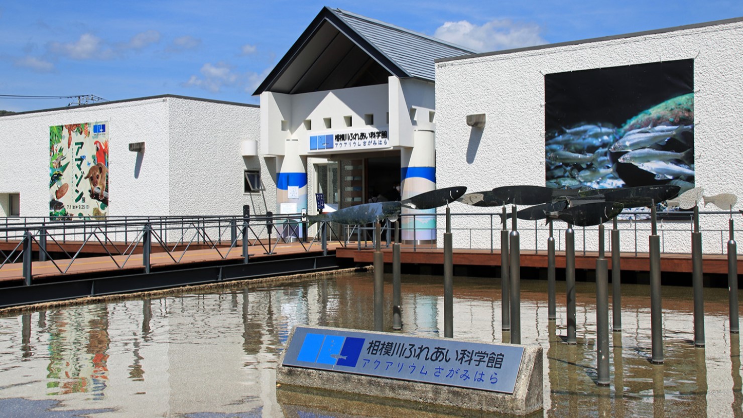 アクアリウムさがみはら