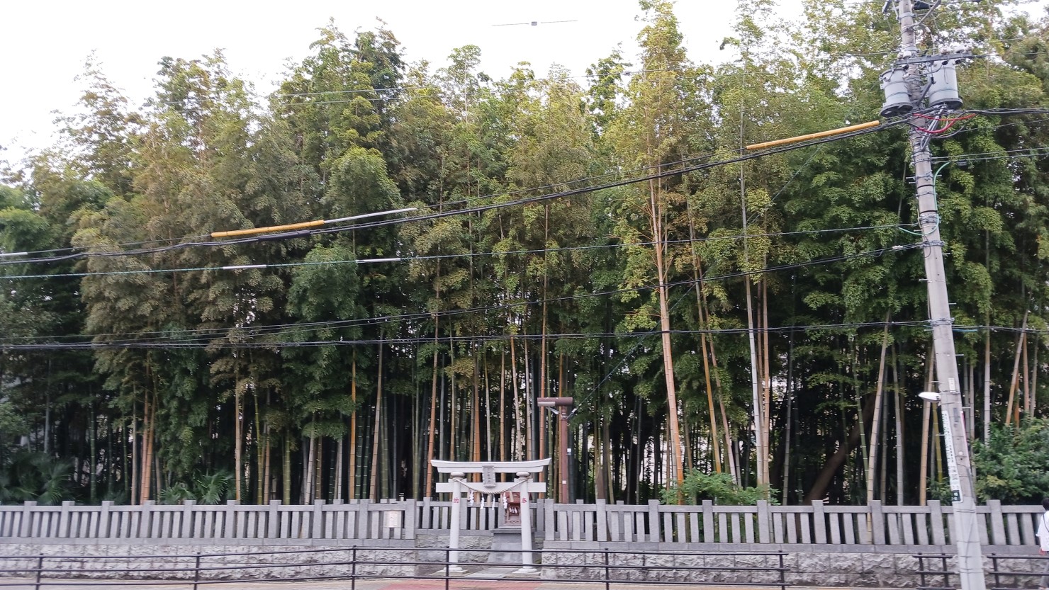 八幡の藪知らず