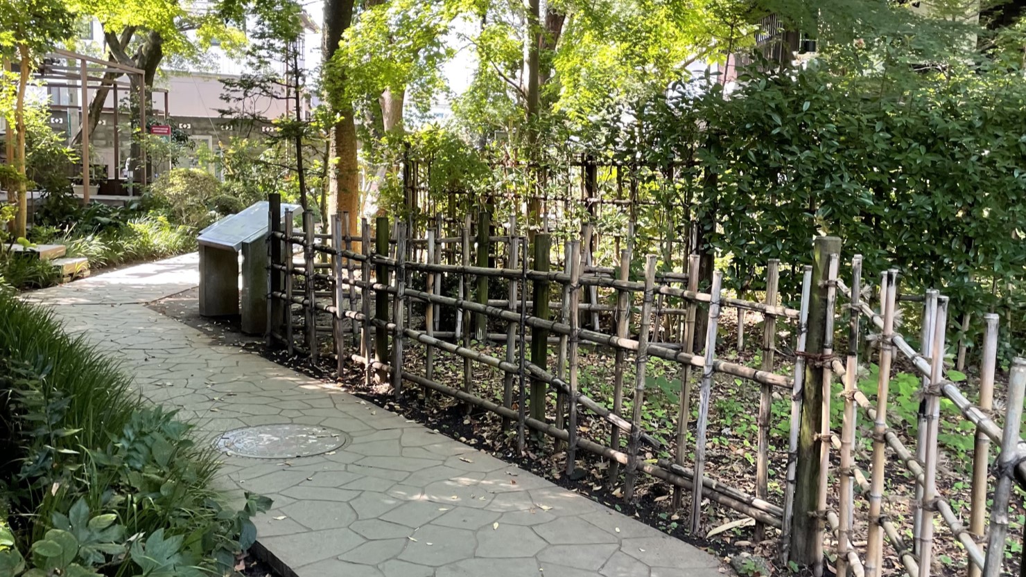 自然豊かなお鷹の道