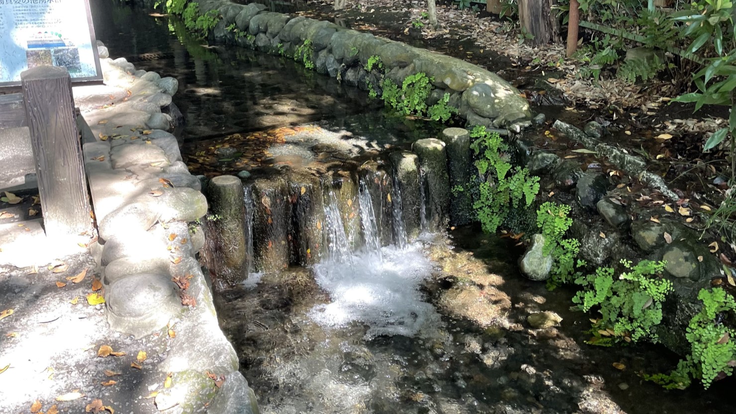 真姿の池湧水群