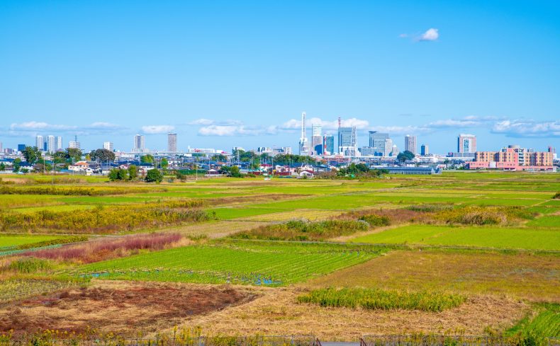 都心or郊外。子育てするなら住みたいのはどっち？