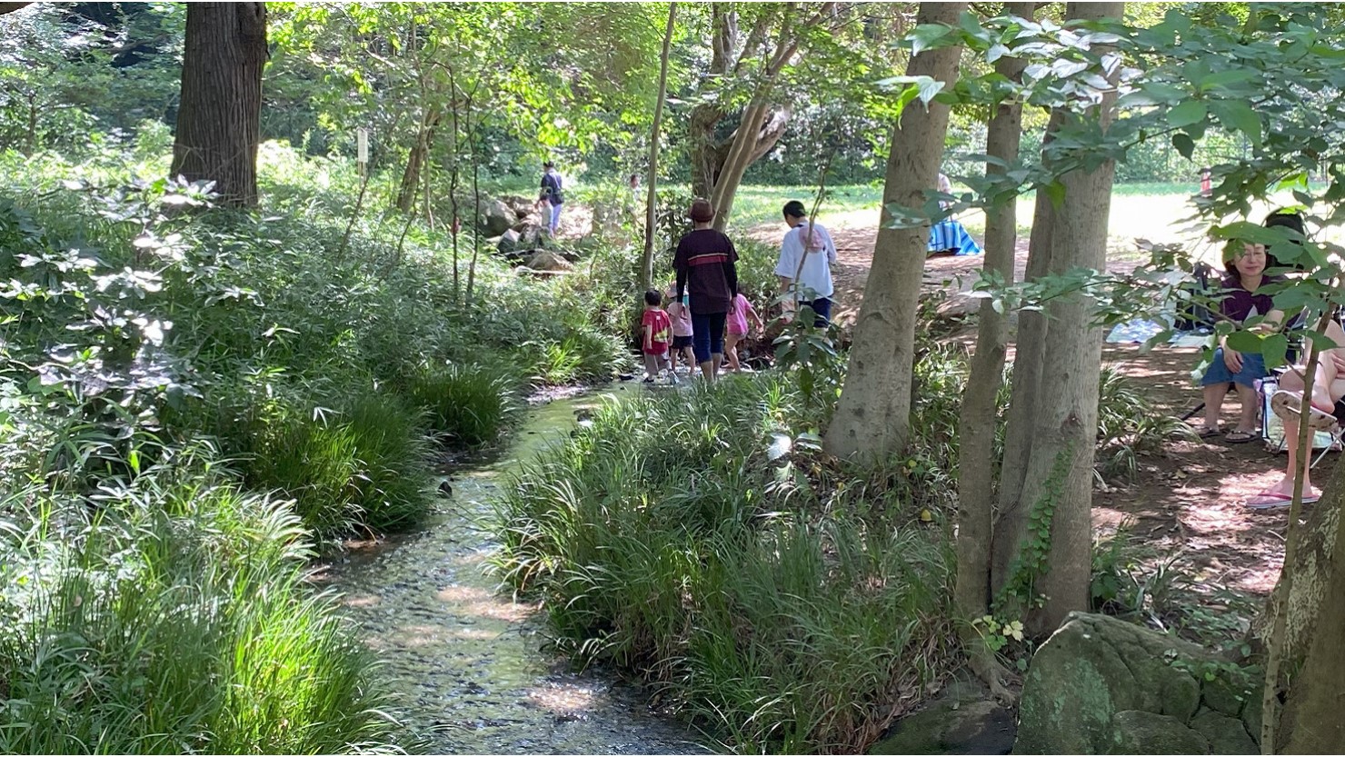 水遊びもできる都立野川公園。