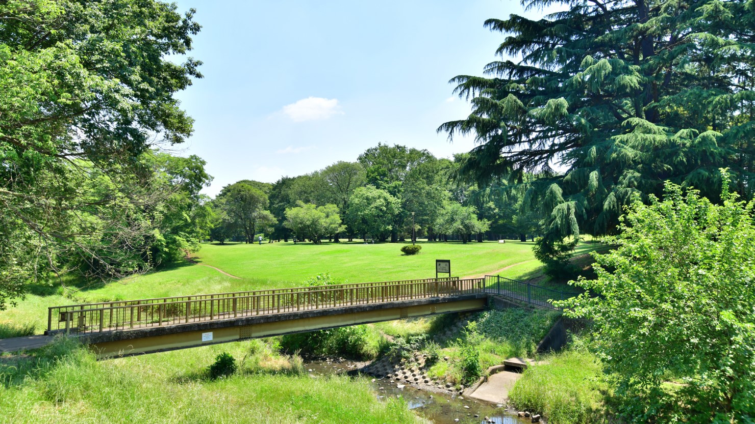 都立野川公園