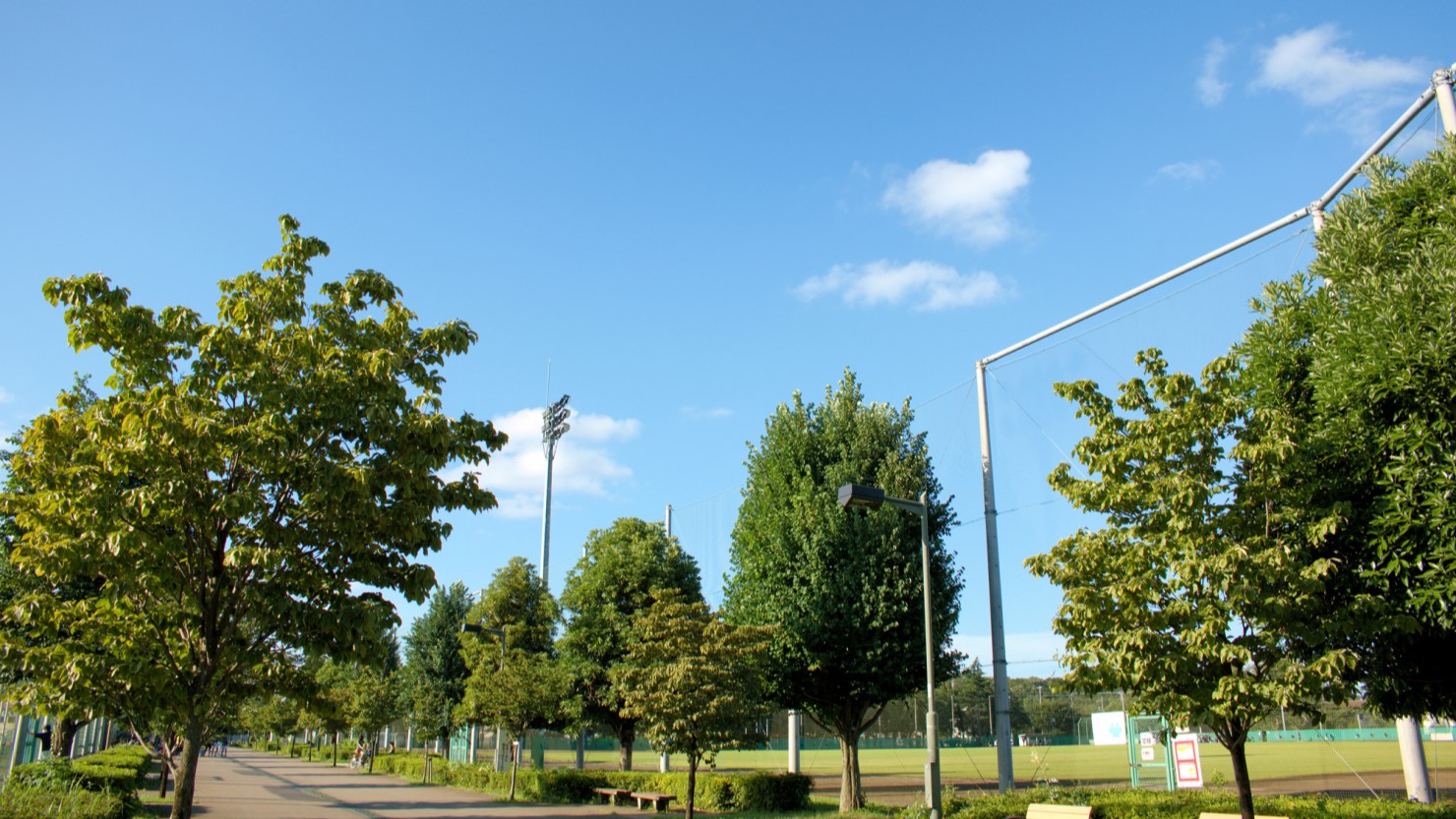 三鷹市大沢総合グラウンド