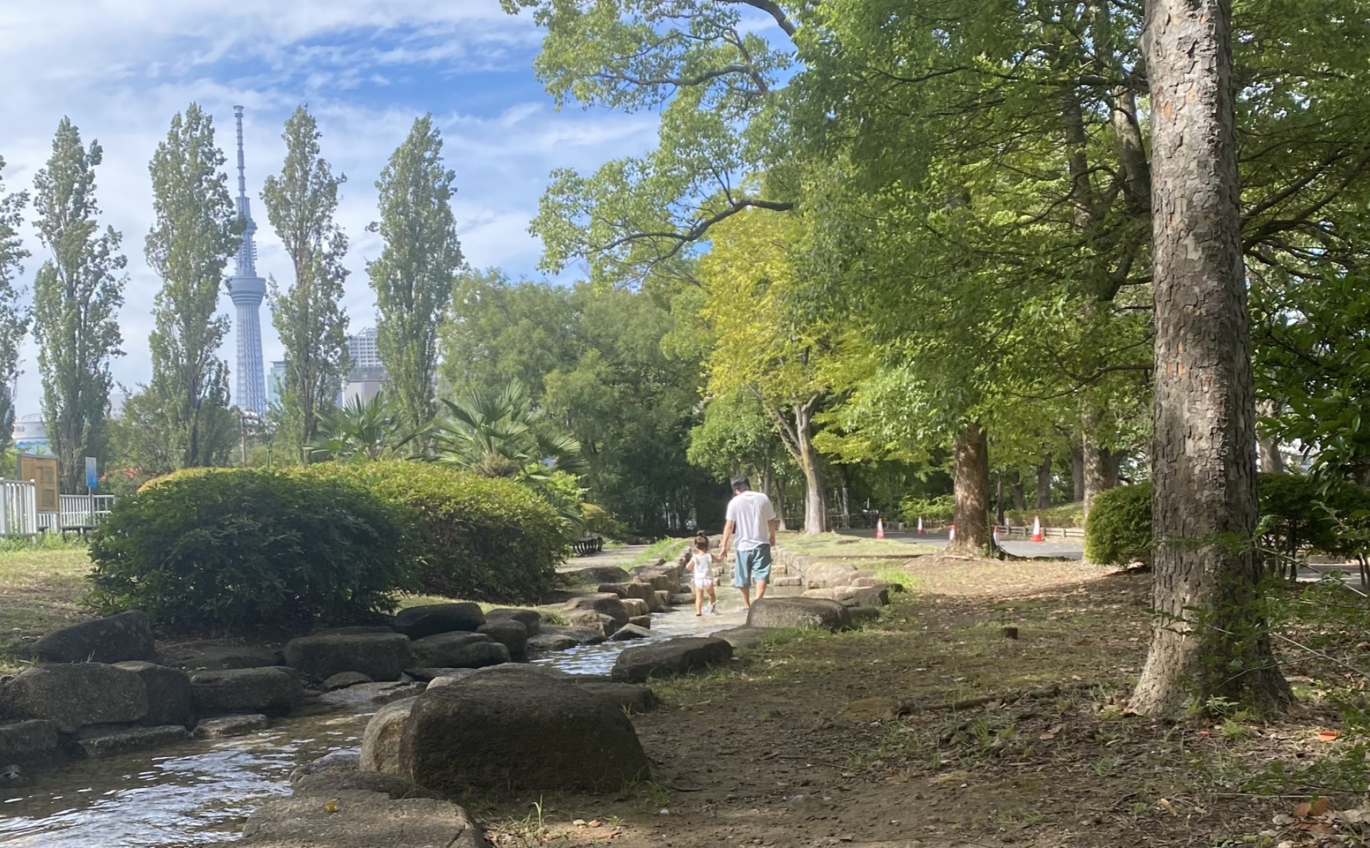 東京都江東区での子育て体験談。子育て支援情報や子育てにおすすめのエリアを紹介