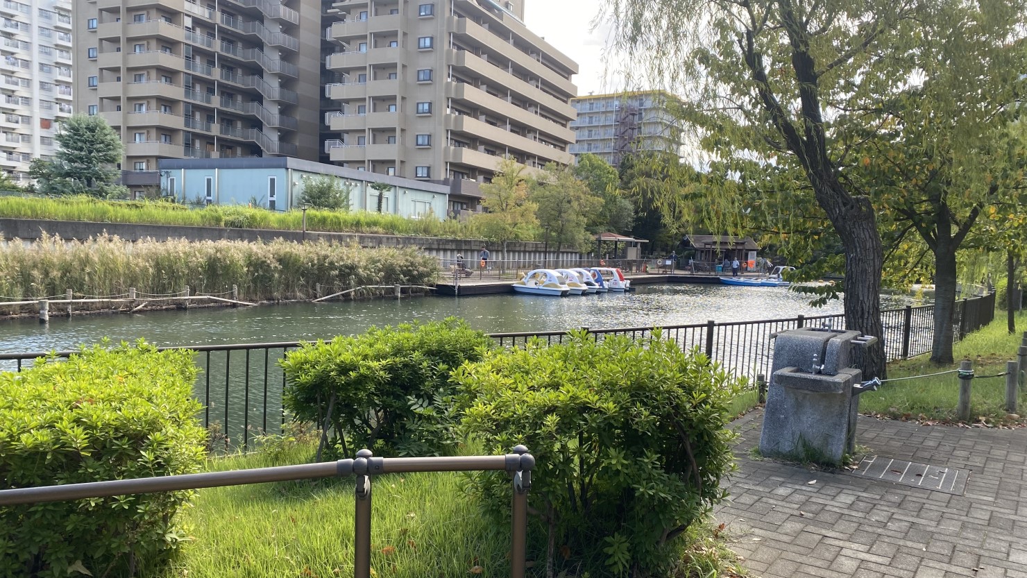 横十間川親水公園ボート乗り場