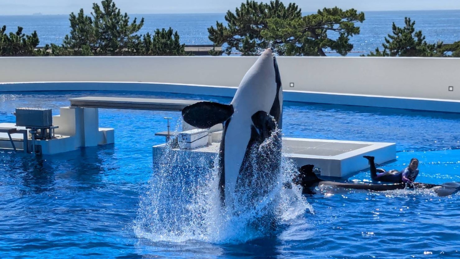 神戸須磨シーワールド