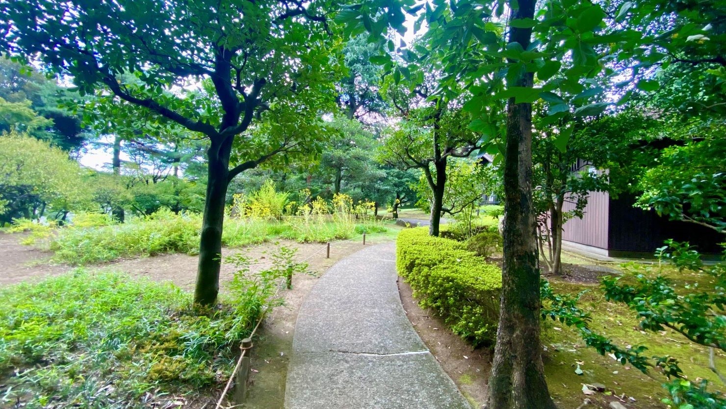 野趣あふれる武蔵野の奥座敷「殿ヶ谷戸庭園(国分寺市)」-第8回