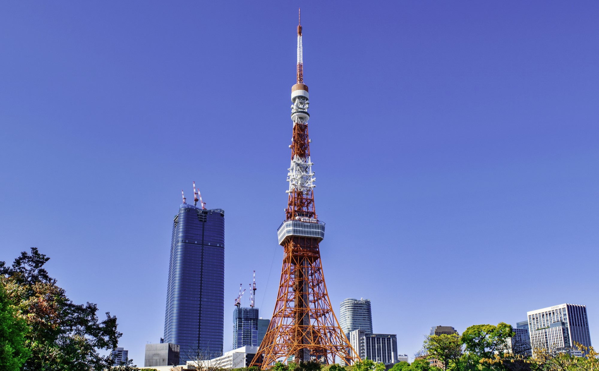 東京都「港区」での子育て体験談。子育て支援情報や子育てにおすすめのエリアを紹介