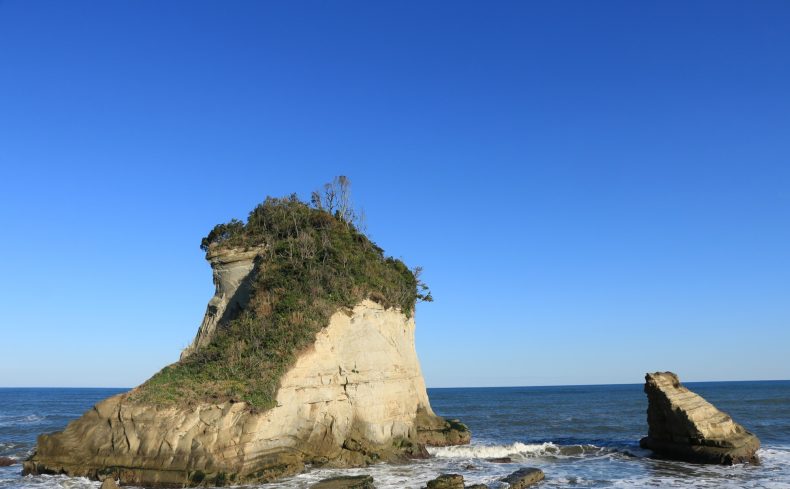 千葉県「いすみ市」の住みやすさは？元住民が自然の豊かな暮らしを紹介
