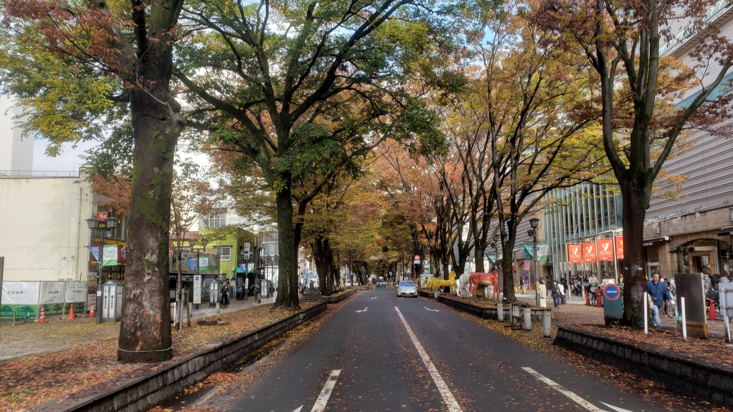 馬場大門けやき並木