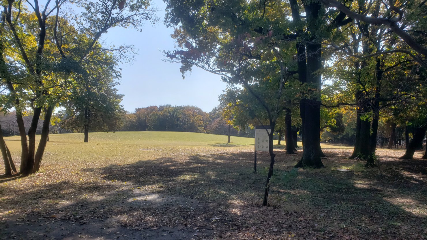 府中の森公園