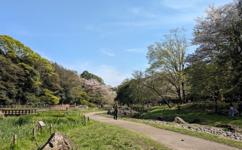 神奈川県「大和市」での子育て体験談。子育て支援や実際の住み心地を2児のママが紹介