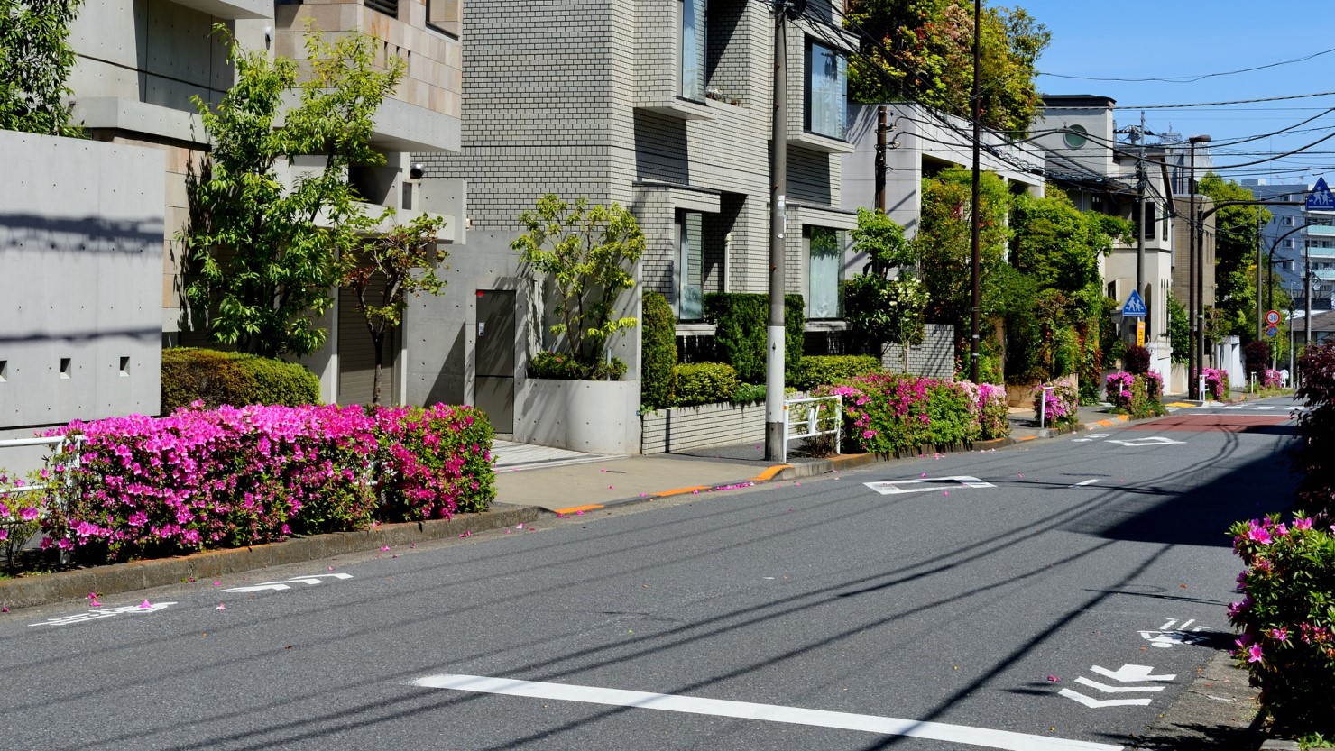 代々木上原駅周辺の閑静な高級住宅街の風景