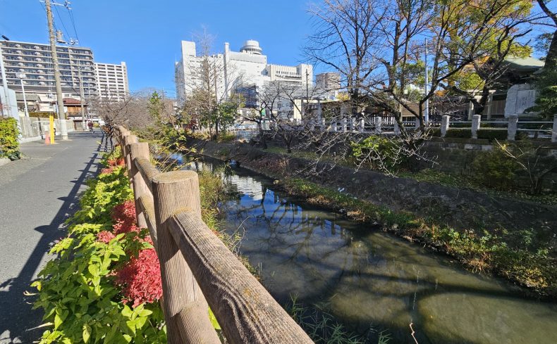 千葉県「松戸駅」周辺を散歩するならここ！散歩・ウォーキングおすすめスポット7選