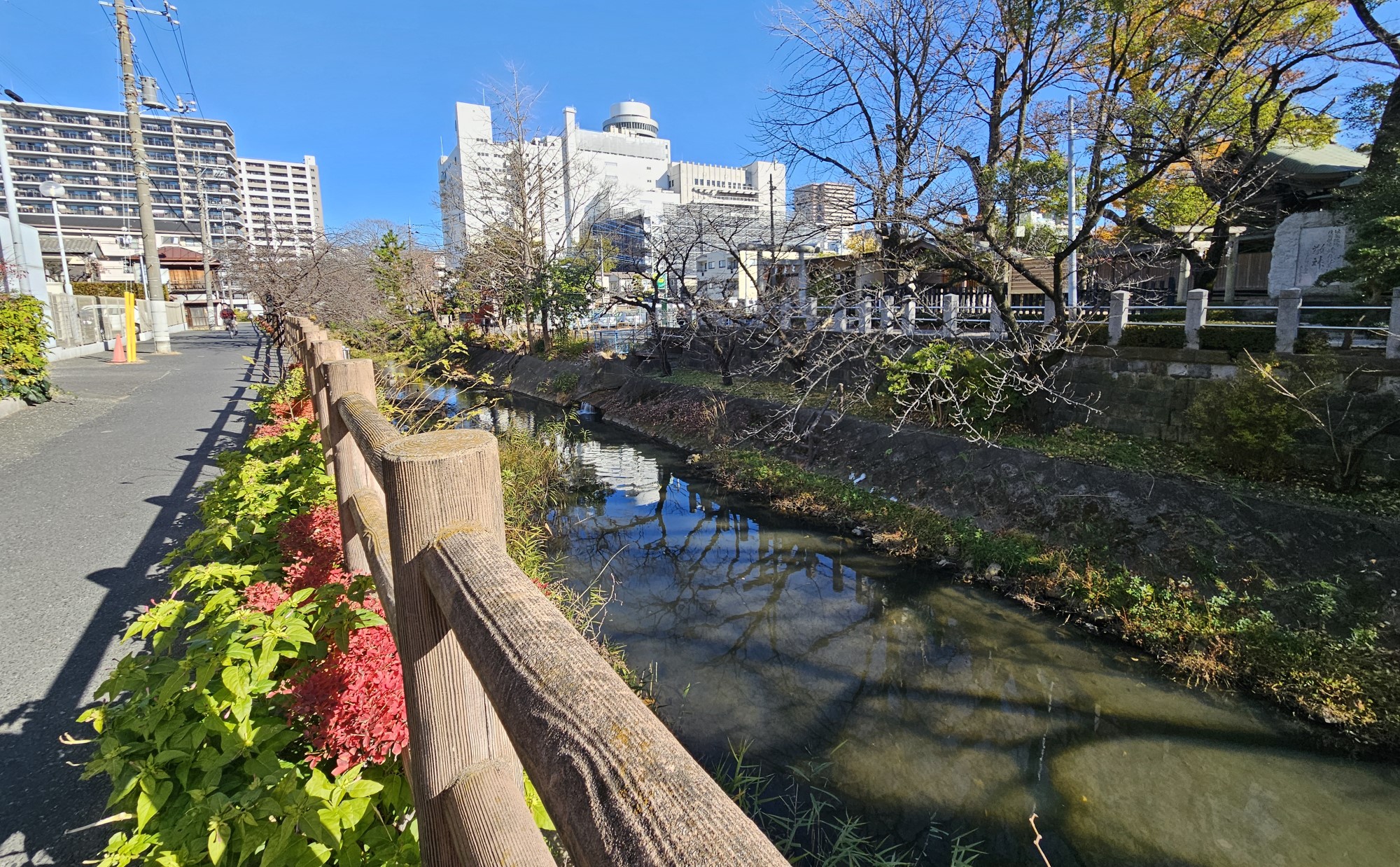 千葉県「松戸駅」周辺を散歩するならここ！散歩・ウォーキングおすすめスポット7選