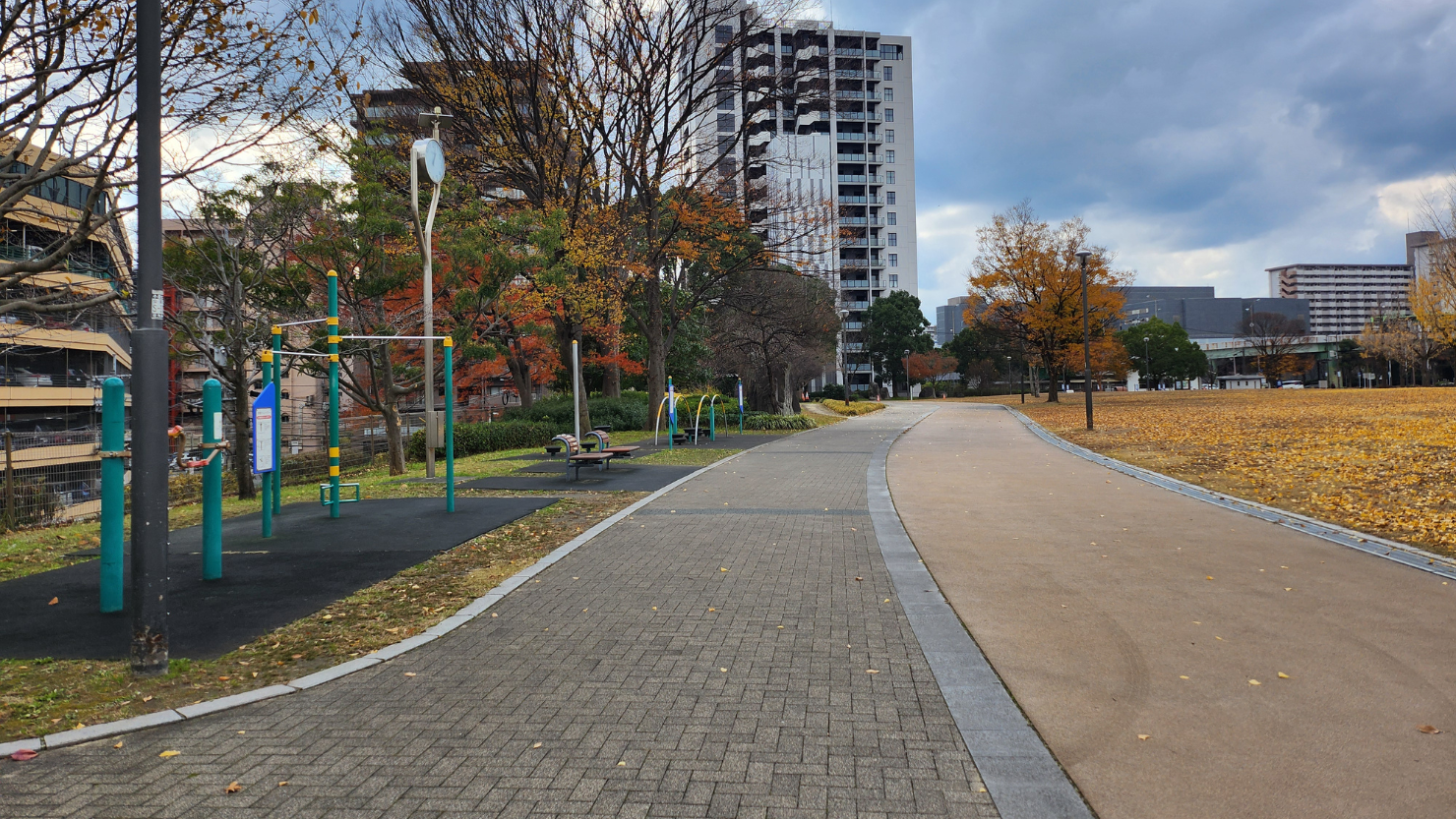 勝山公園健康遊具広場