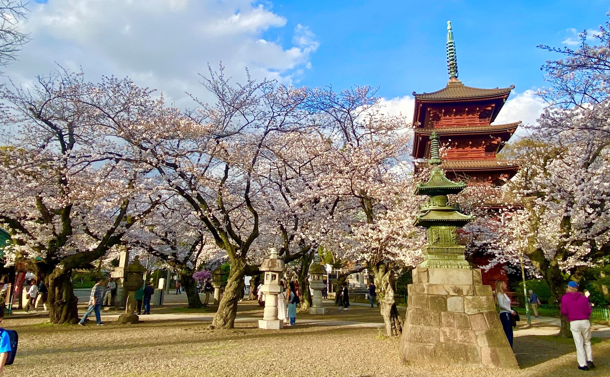 鎌倉時代からつづく門前町「下総中山駅(千葉県市川市・船橋市)」周辺を散歩してみよう。地元民おすすめの散歩スポットを紹介