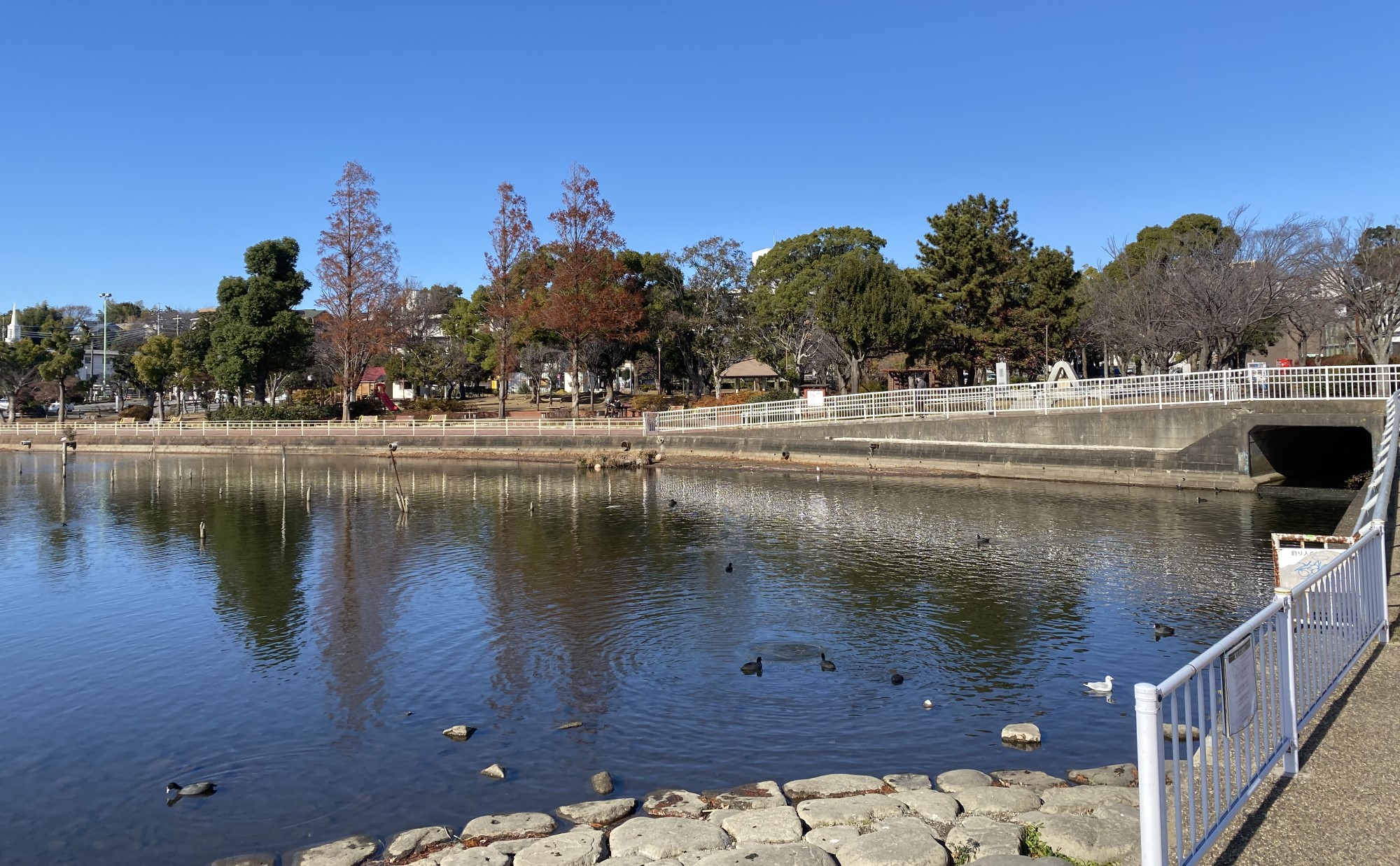 千葉県「我孫子駅」周辺は都心に近い自然豊かな街！住民が紹介する住みやすさ