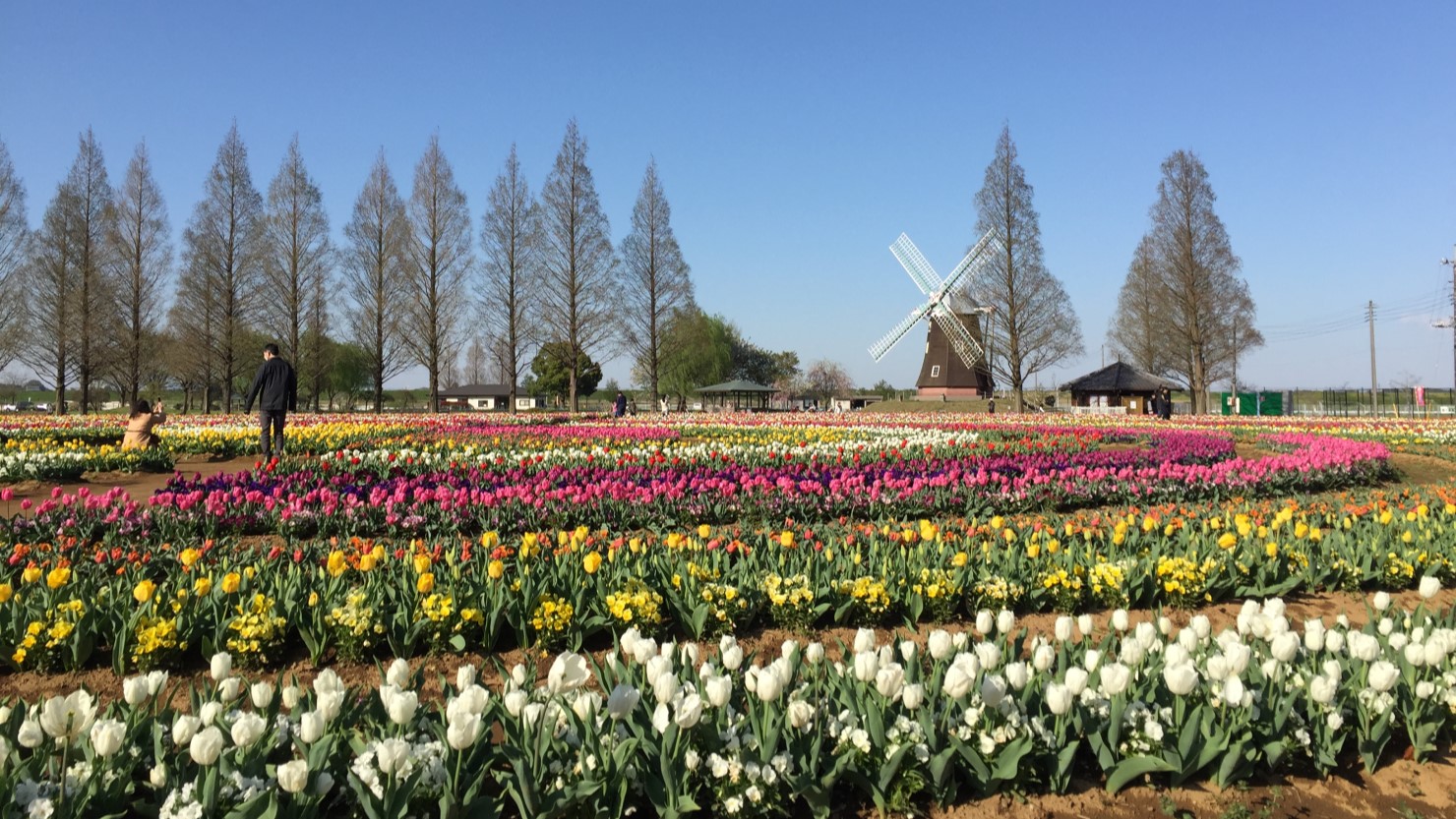 あけぼの山農業公園