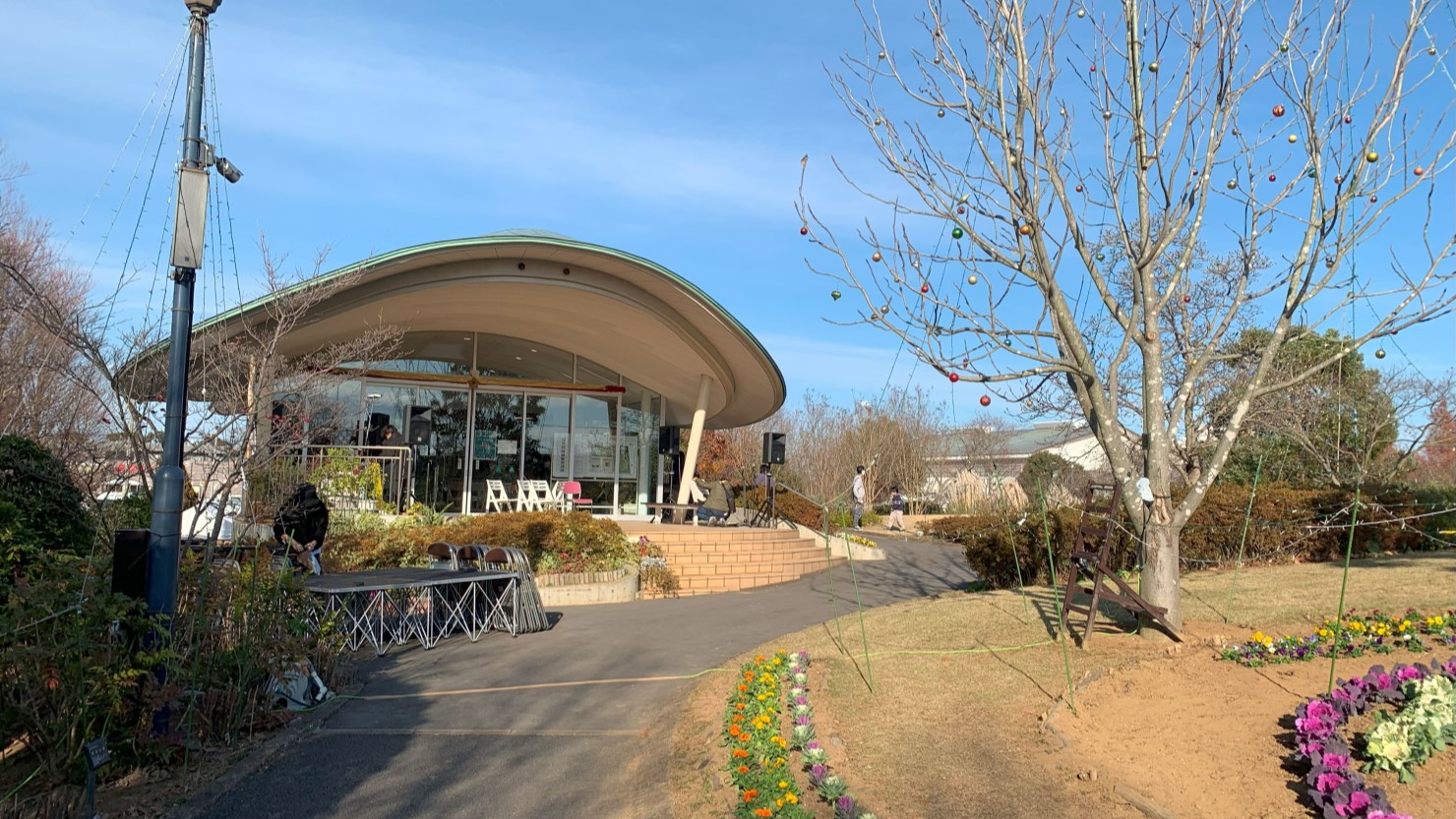 東松戸ゆいの花公園
