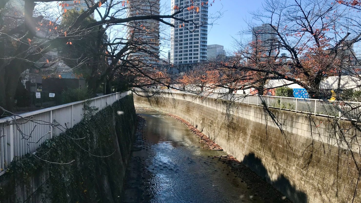 冬の神田川