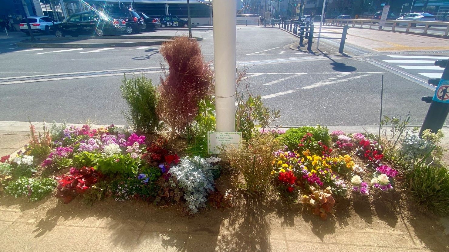 東中野駅西口ロータリー花壇