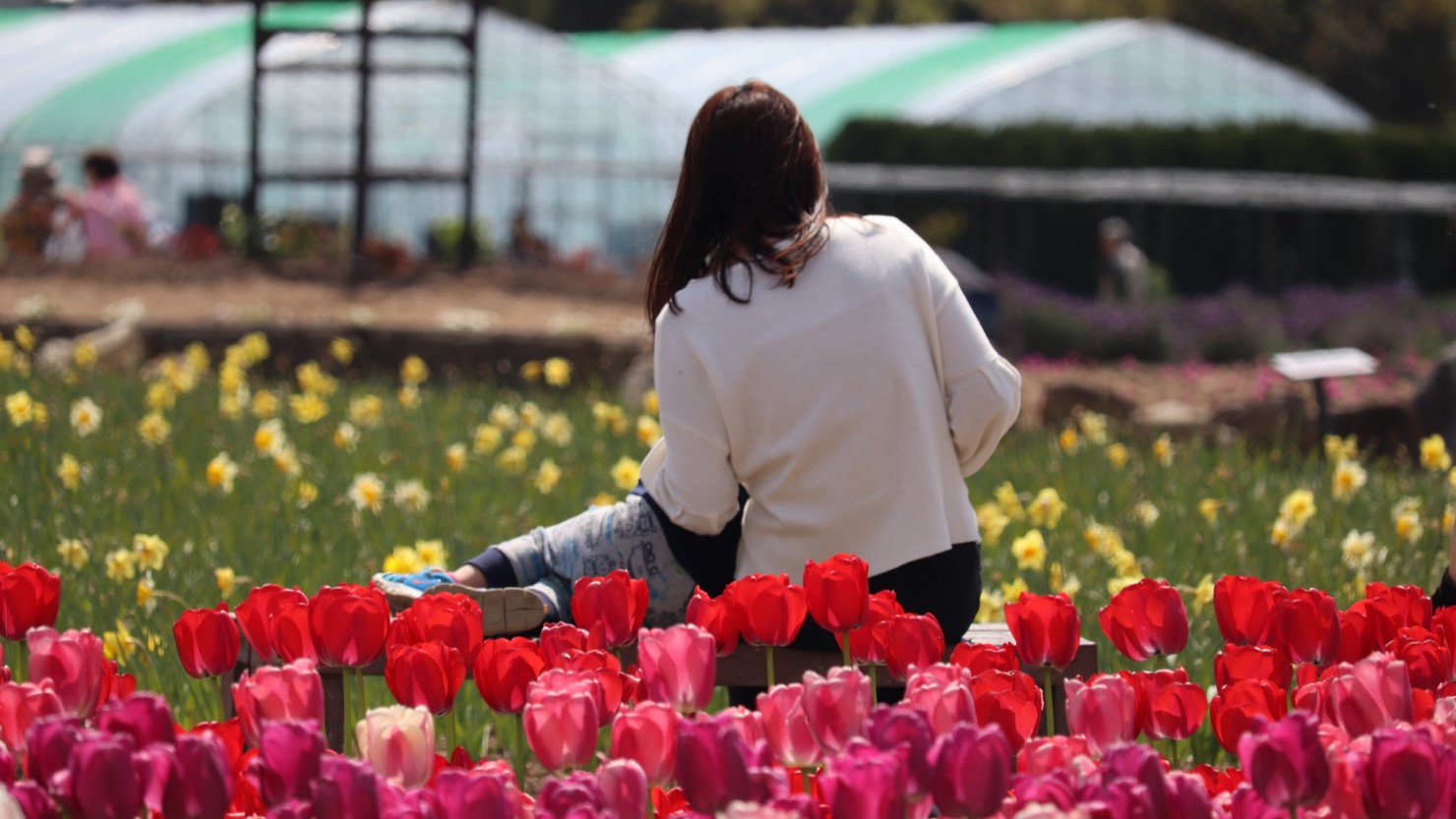 和泉市リサイクル環境公園