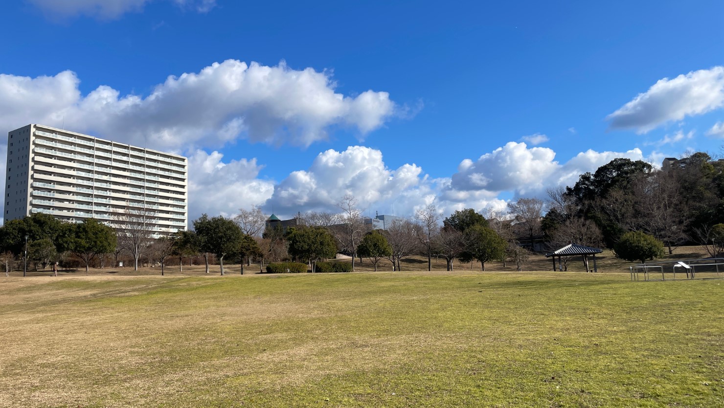 広々とした芝生がある中央公園
