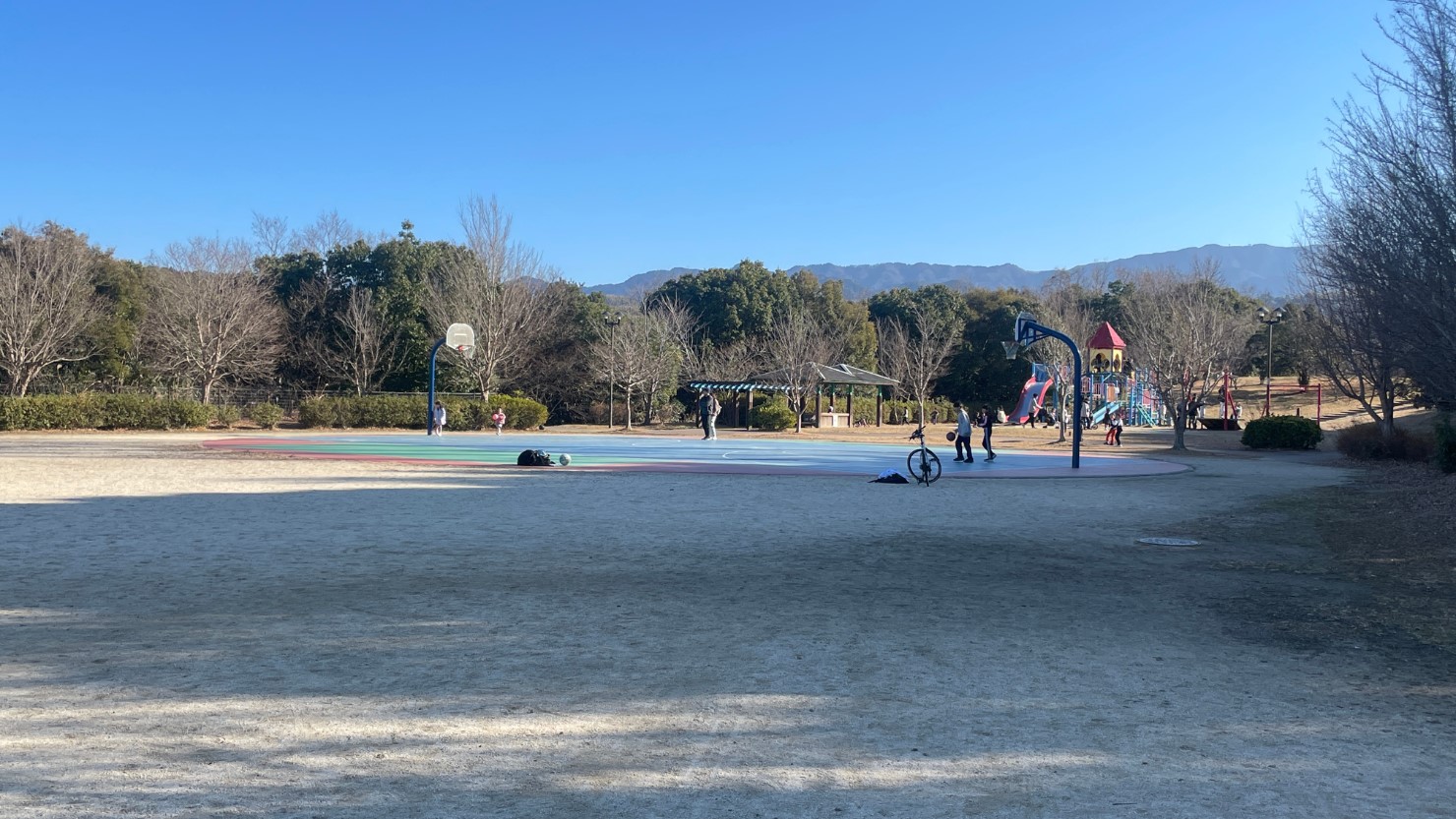 球技ができるグラウンドやバスケットゴールが設置されている