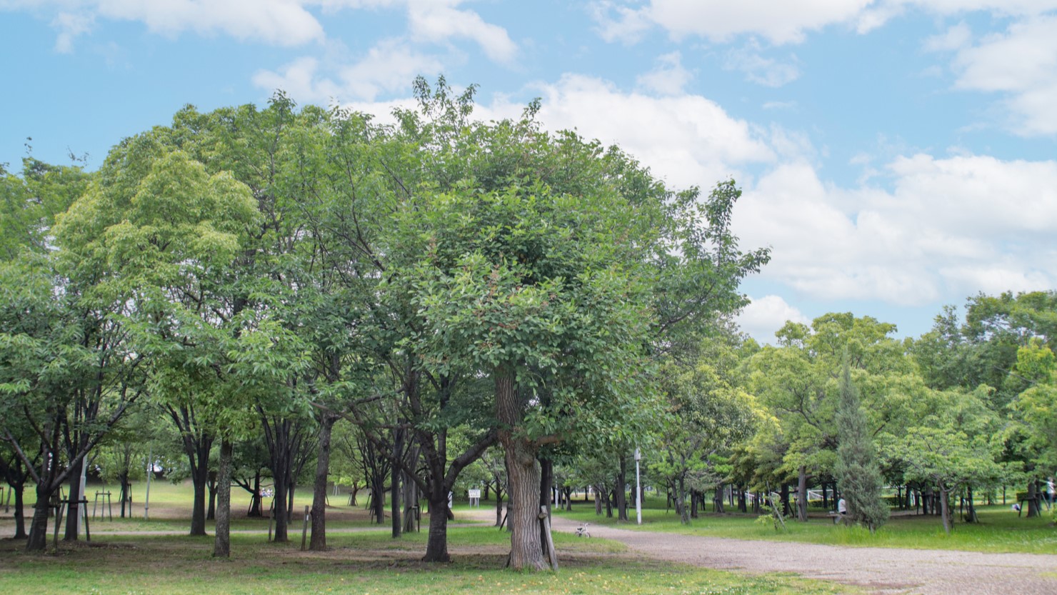 芦屋市総合公園