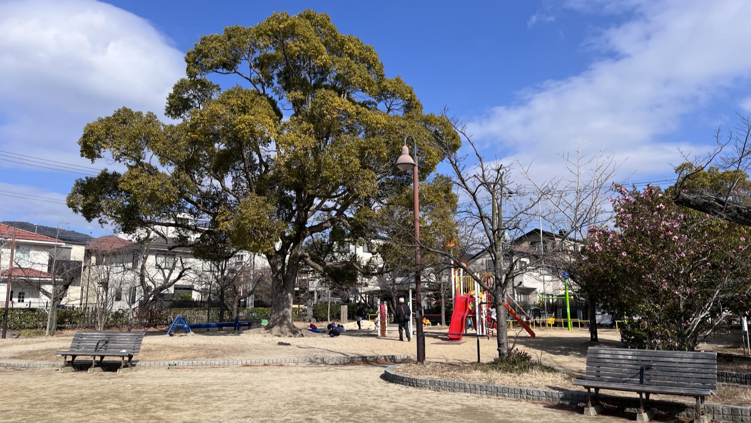 芦屋市総合公園(ミラタップパーク芦屋) 