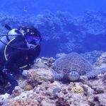 海老澤和紗＠誠実な対応