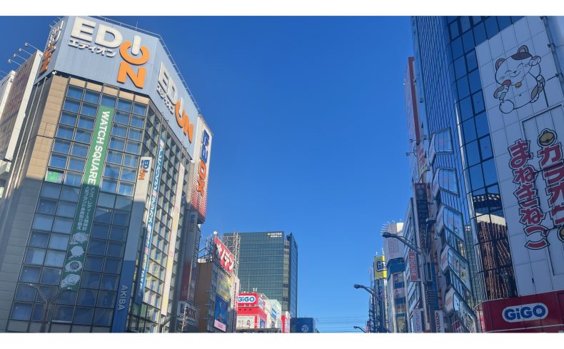 東京都千代田区「秋葉原」は安心して暮らせる？治安や防災情報をまとめました