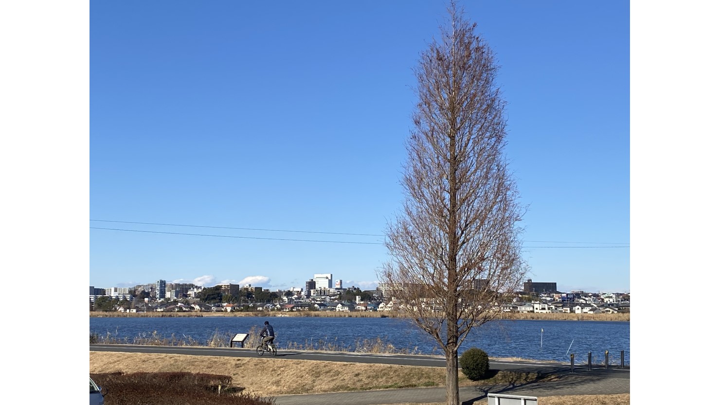 手賀沼側から見る我孫子駅南側の街並み