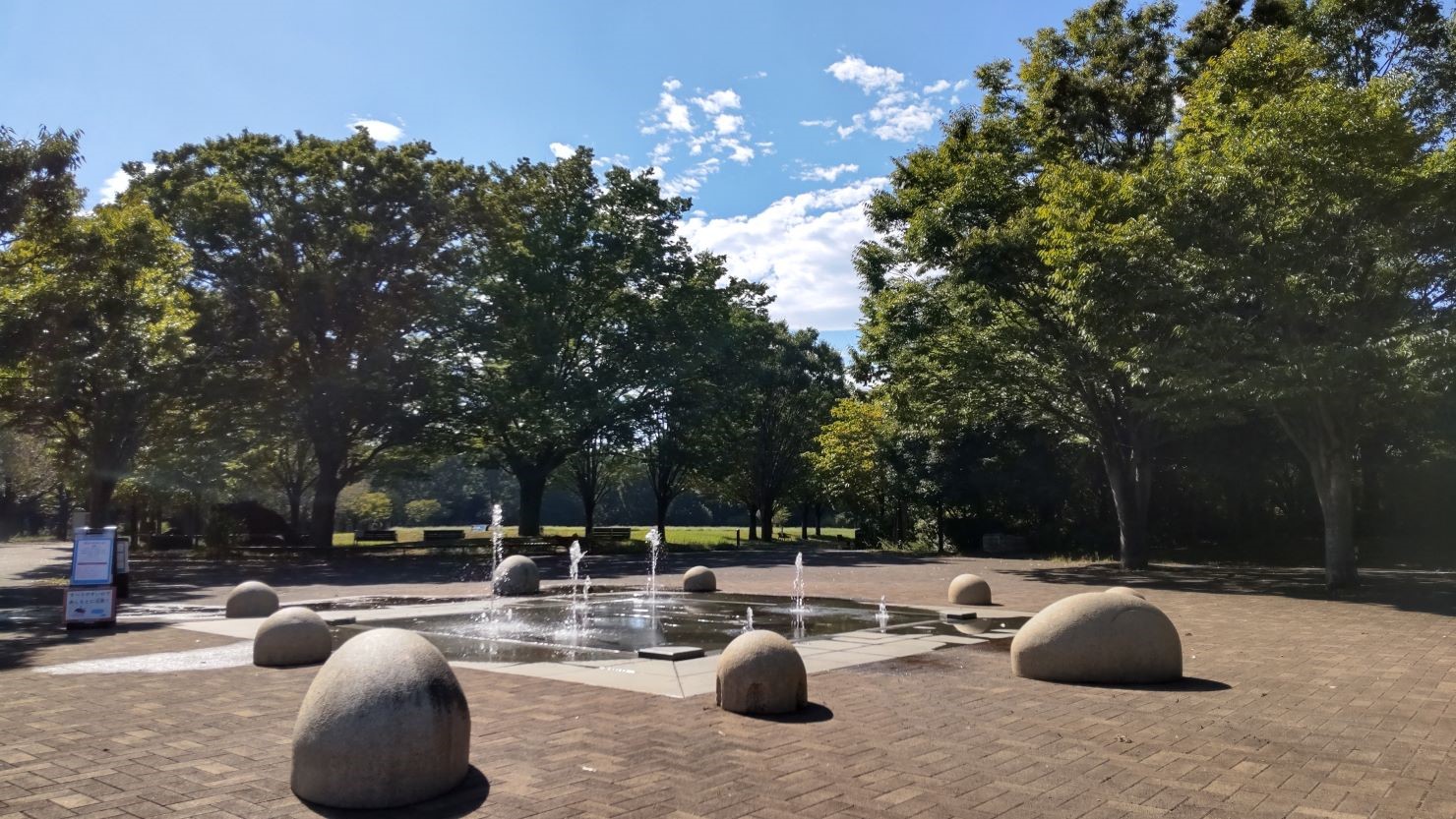 豊かな自然が広がる「西東京いこいの森公園」　© 内藤和也