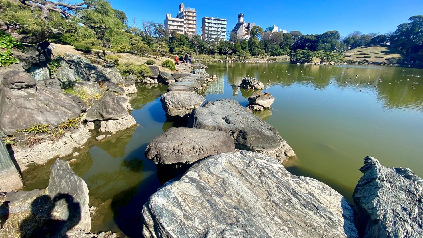 清澄庭園の大磯渡り