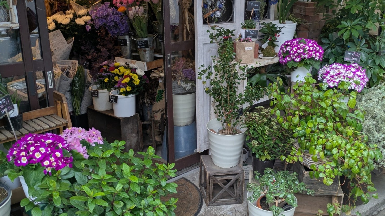 ミリオン通りを入るとすぐ左手に花屋があります