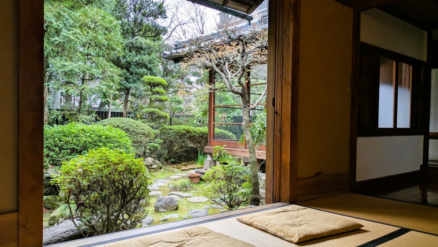 仲町の家 茶室からの庭の眺めが美しいです