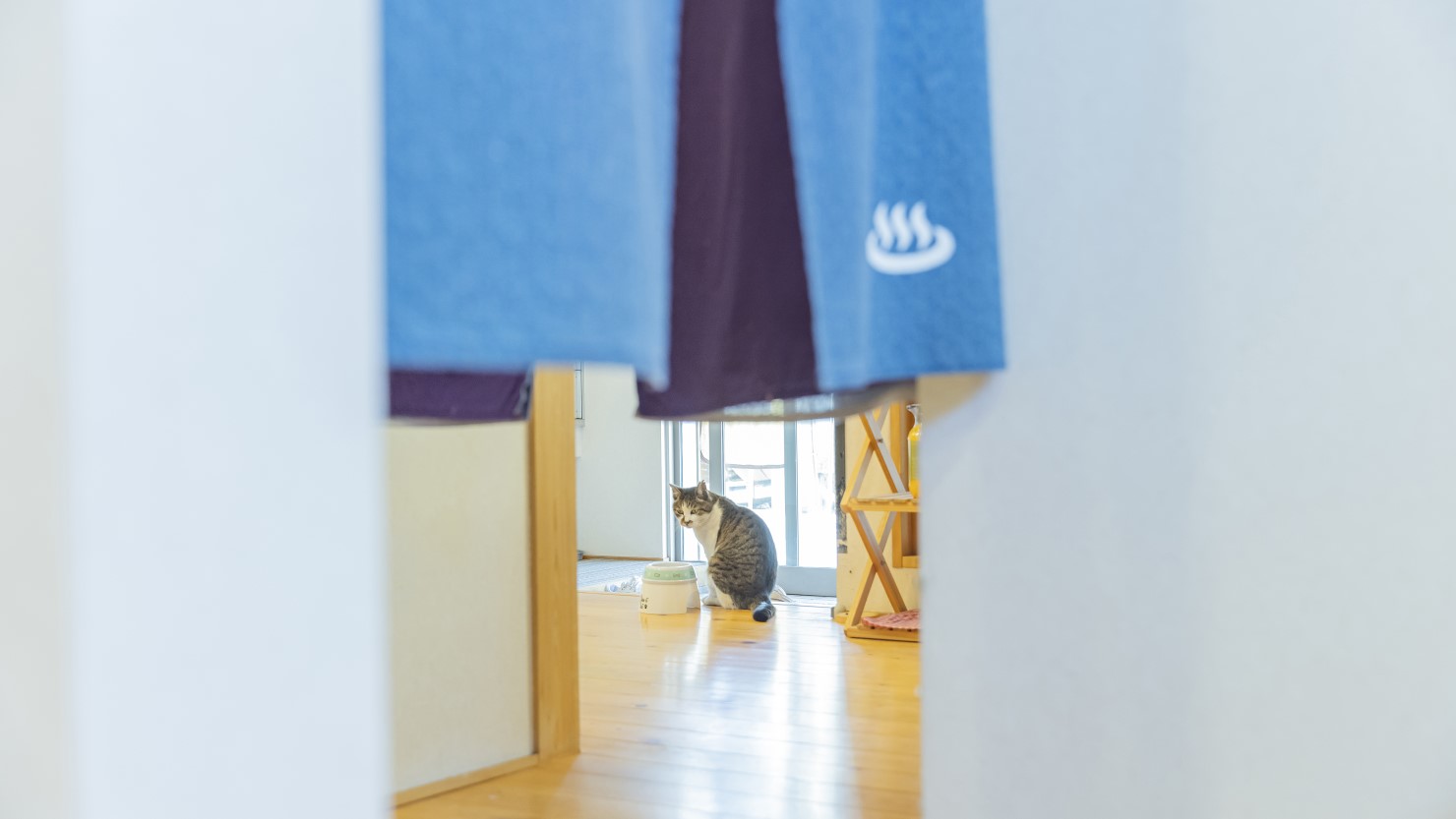 お店の看板キャラにもなっているマルちゃん