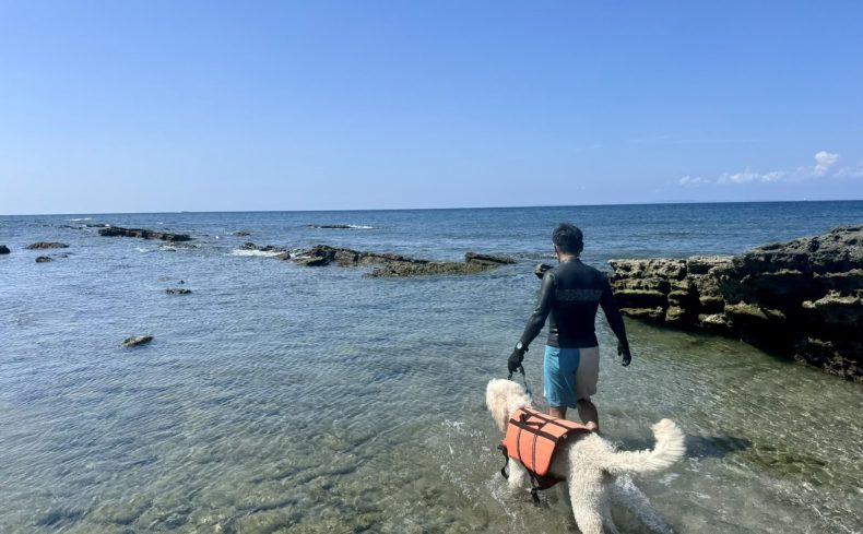 沖ノ島公園（千葉県）で磯遊びを楽しもう！ 手軽にサンゴとカラフルな魚を観察できる穏やかな海