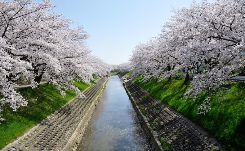 奈良市「新大宮」駅周辺の住みやすさは？北は住宅街、南は繁華街の新大宮の魅力