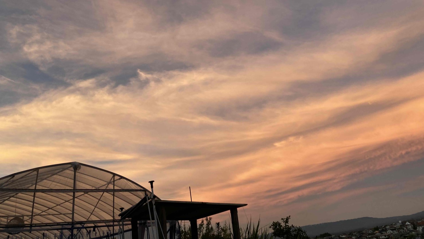 畑から見える夕焼け