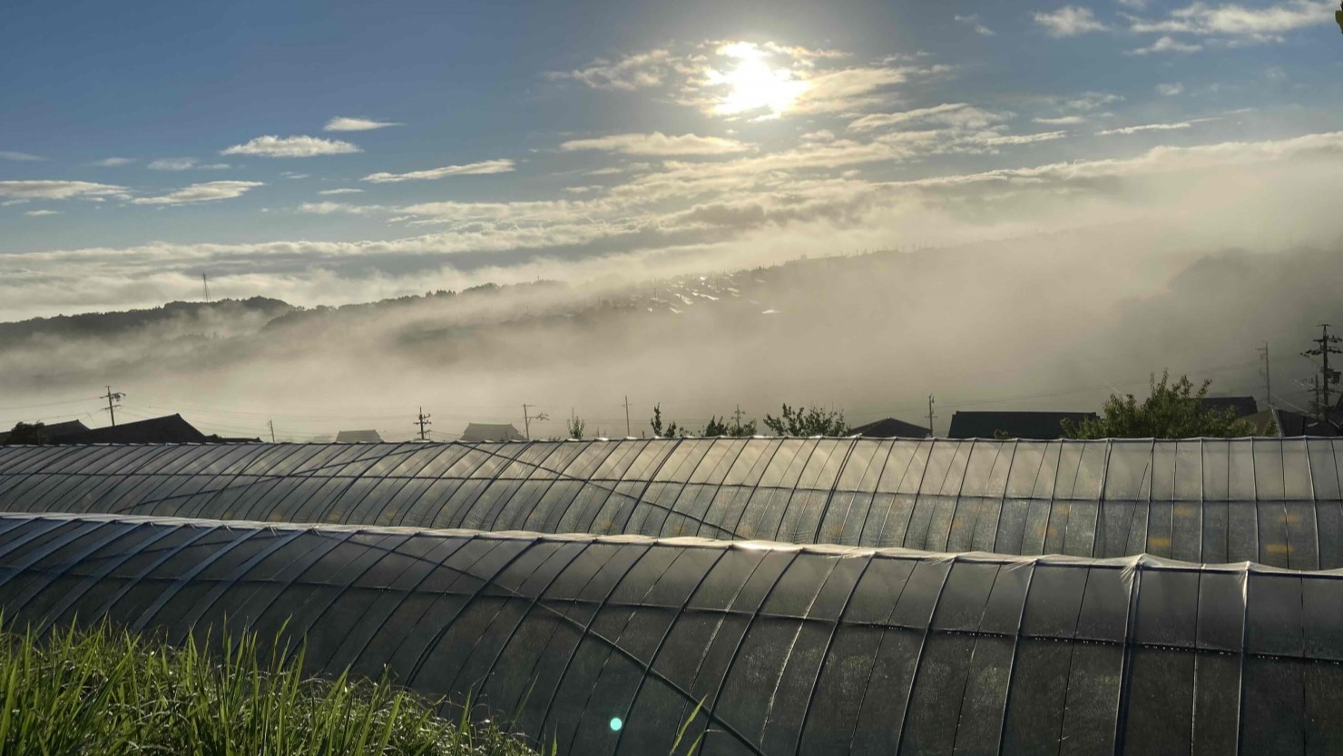 上から見た農園