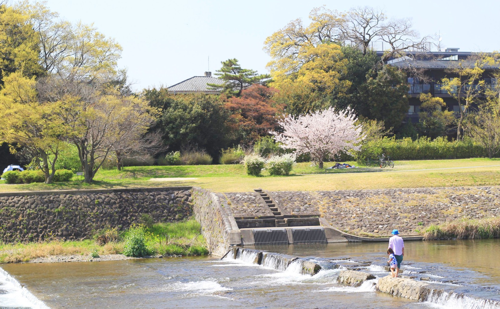 京都府「京都市」での子育て体験談。子育て支援情報や子育てにおすすめのエリアを紹介