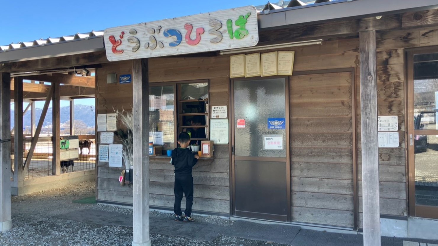 動物広場でエサやり体験