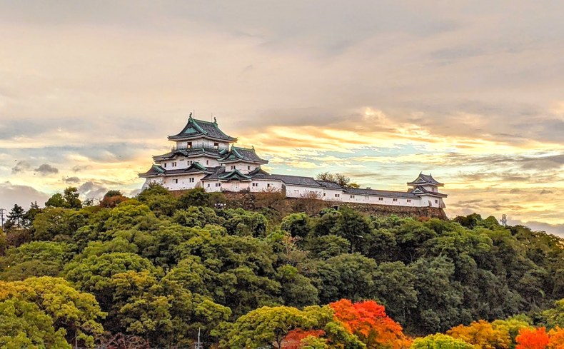和歌山市での子育て体験談。子育て支援情報や子育てにおすすめ和歌山市藤戸台のエリアを紹介