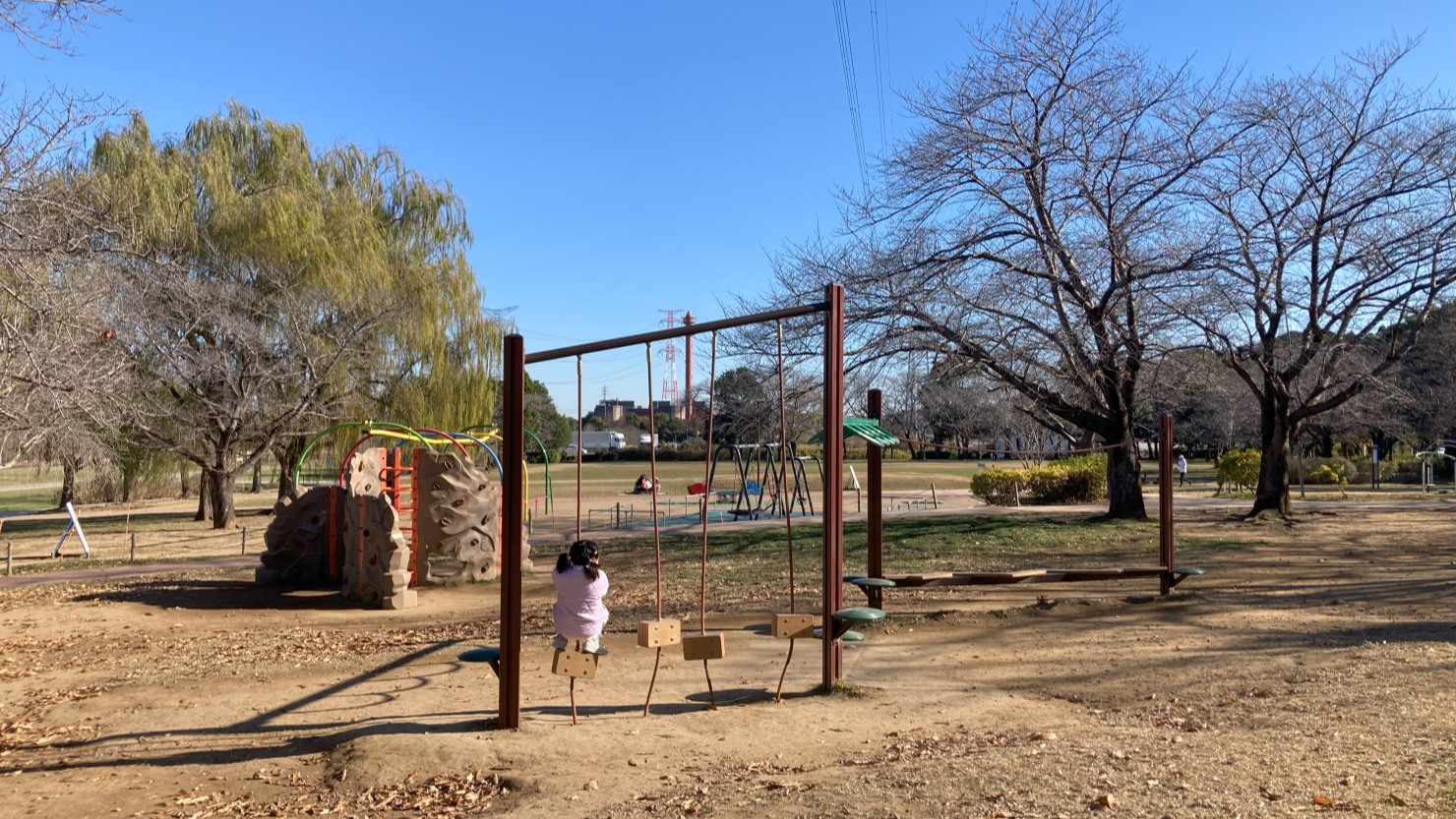 柏ふるさと公園