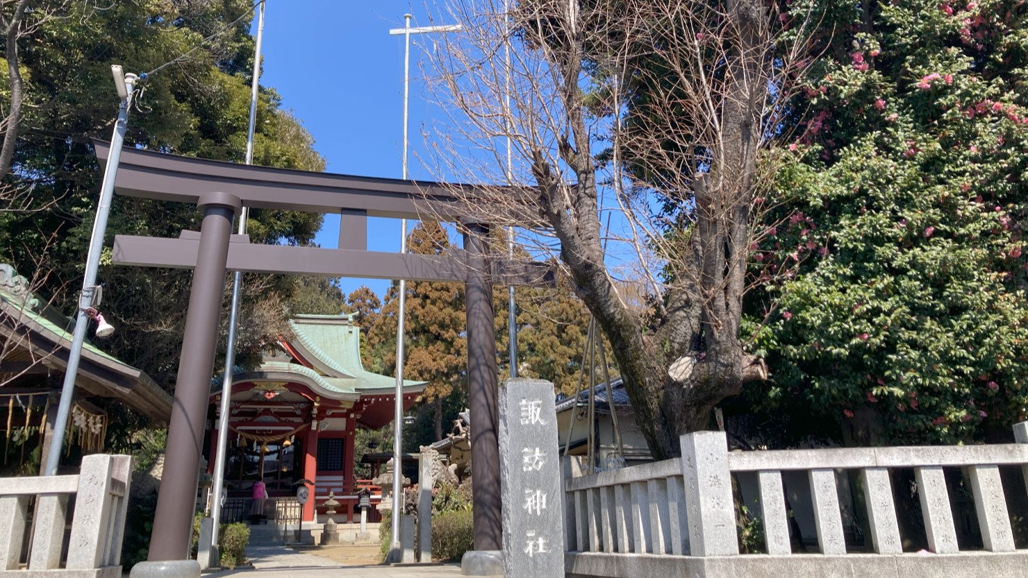 諏訪神社（鳥居）