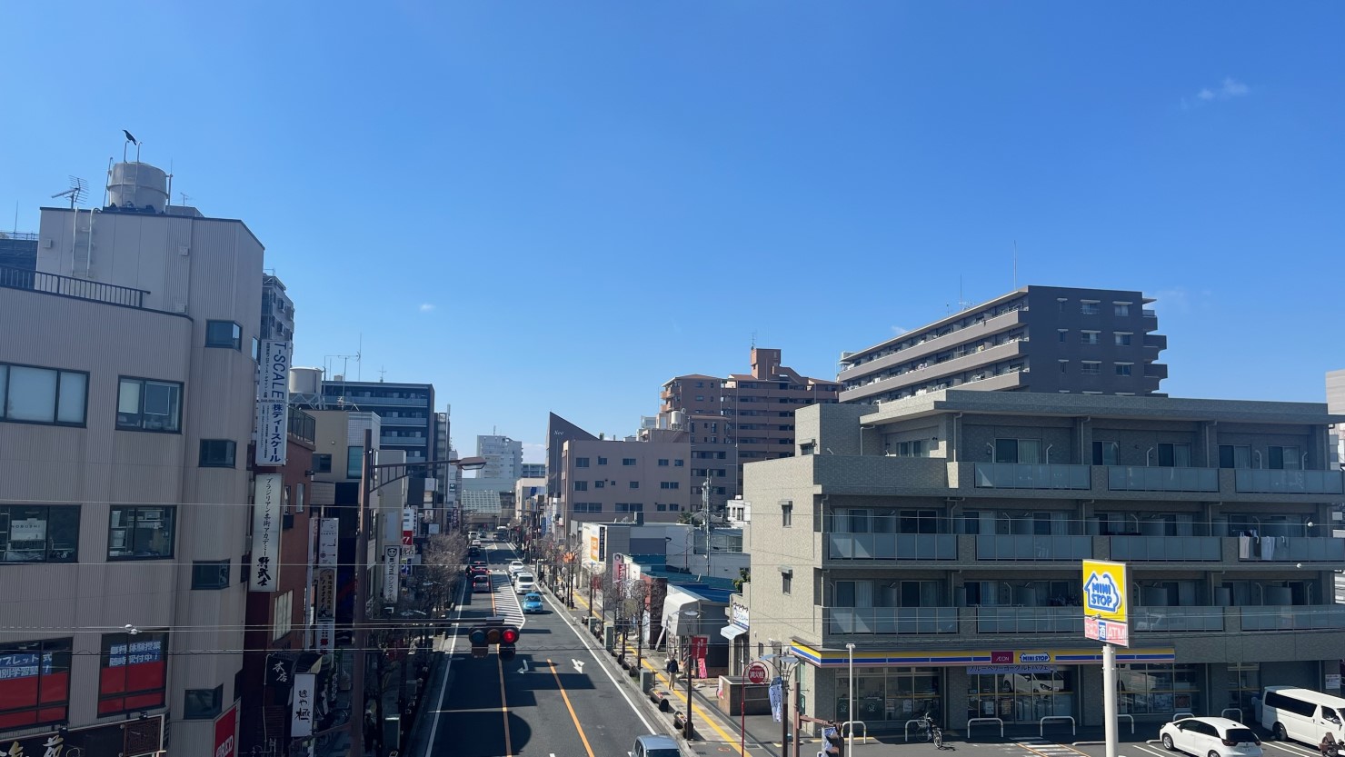獨協大学前駅周辺の住宅街